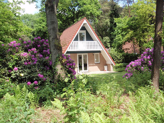 Vakantiehuisje - bungalow Nederland in de Gelderse Achterhoek.
