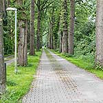 oprijlaan natuurpark Calluna