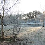 natuurfoto's rondom ons vakatiehuis