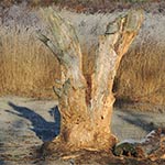 natuurfoto's rondom ons vakatiehuis