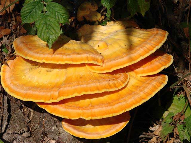 Ontspannen fietsen in de Gelderse Achterhoek.
